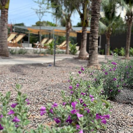 Wanderlust Garden Inn Mũi Né Eksteriør billede