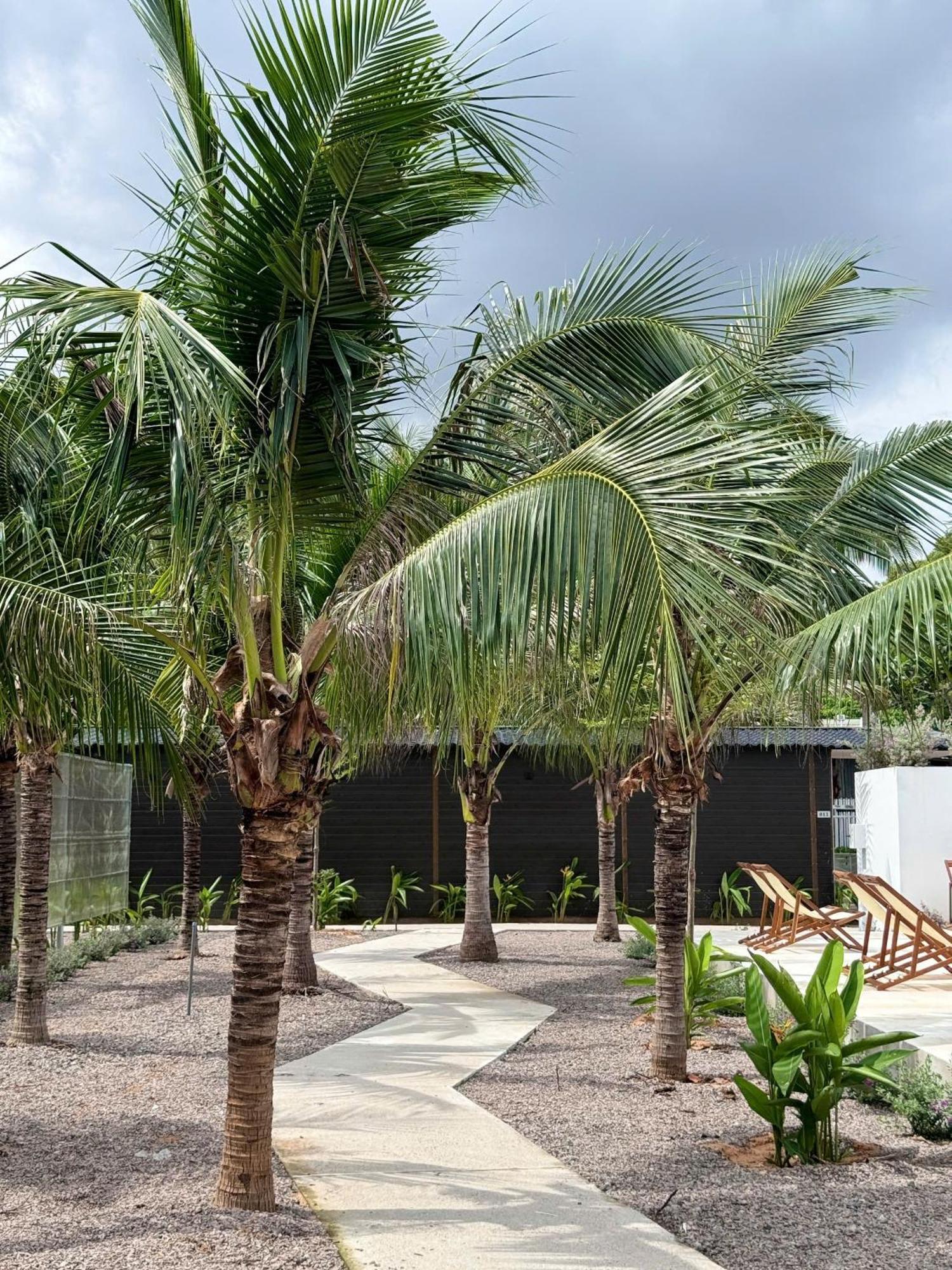 Wanderlust Garden Inn Mũi Né Eksteriør billede